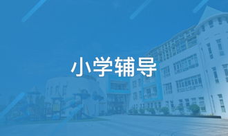 点梦教育信息咨询与淘学培训综合评测